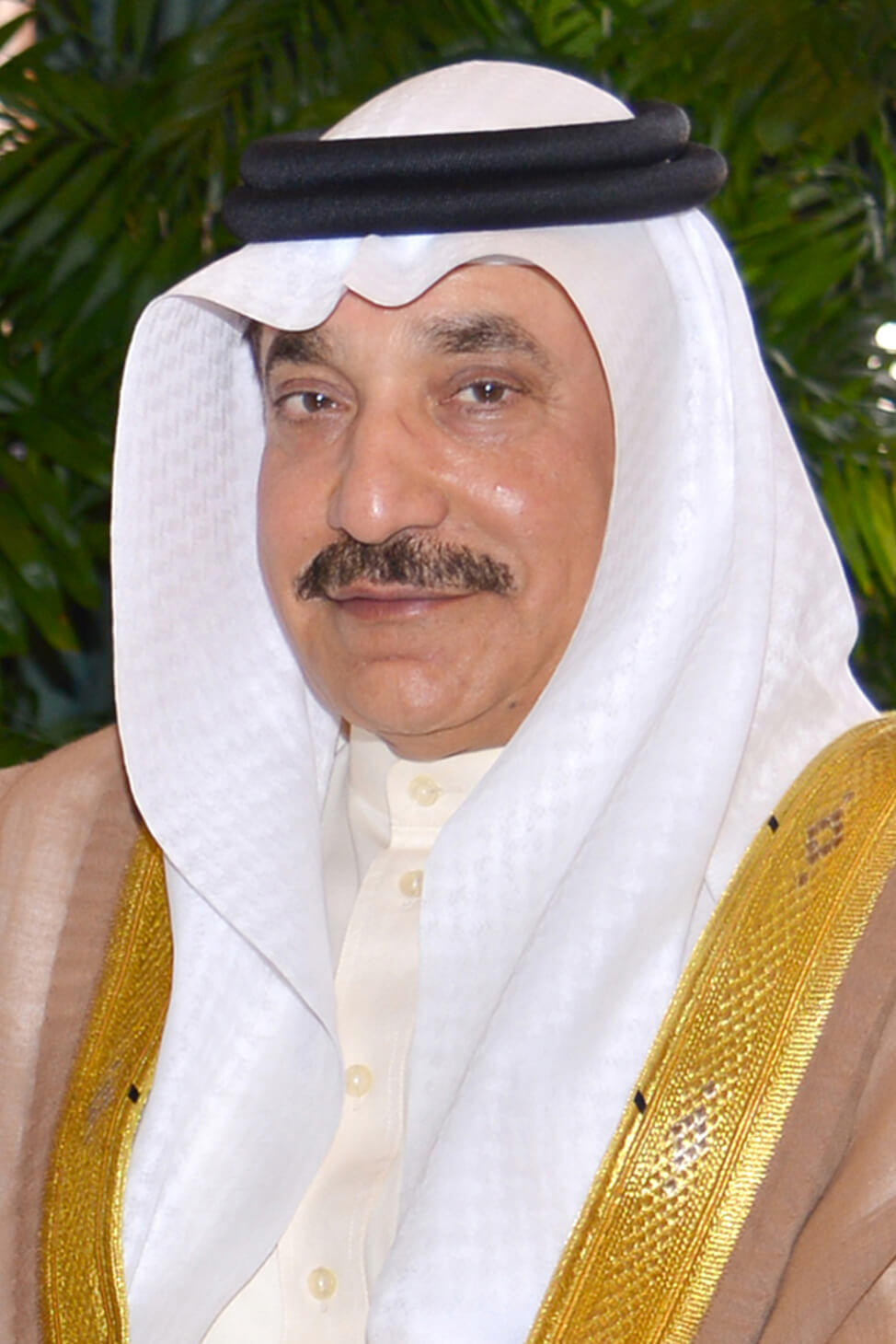 وزير العمل والتنمية الاجتماعية