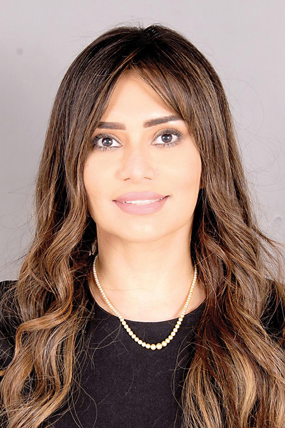 الرئيس التنفيذي لهيئة التخطيط والتطوير العمراني