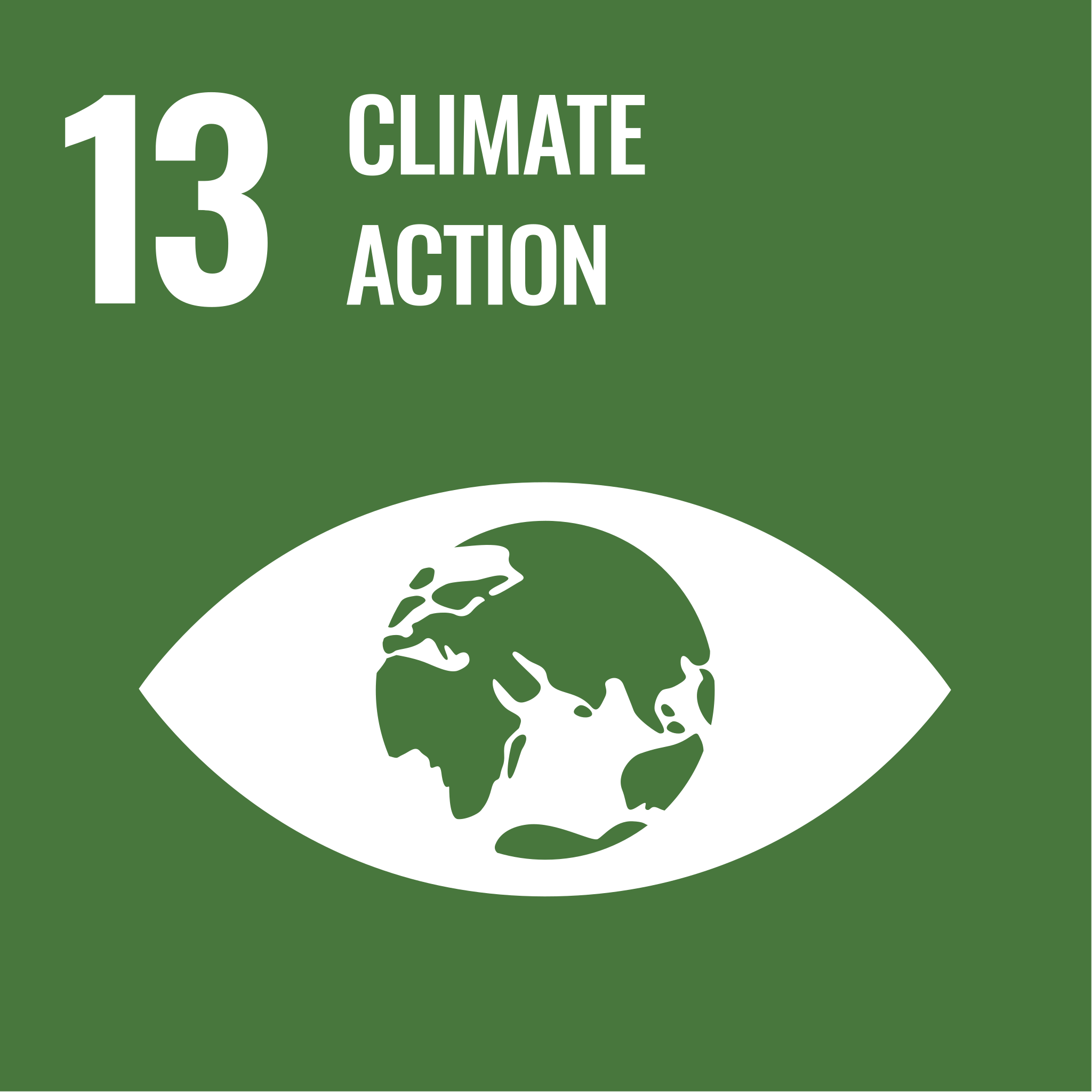 Click to view SDG 13 initiatives