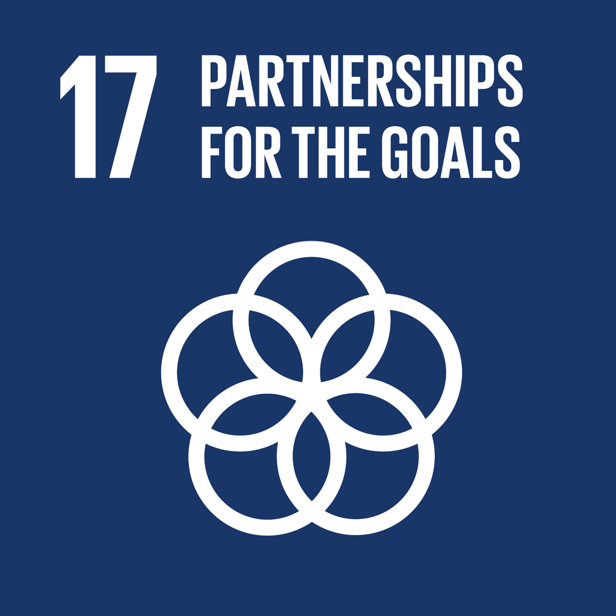 Click to view SDG 17 initiatives