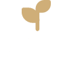 Students’ Confidence icon